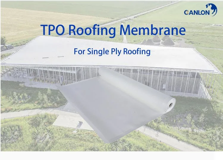 TPO Roofing Membrane Concrete Roof Waterproofing Material CE FM Certificate