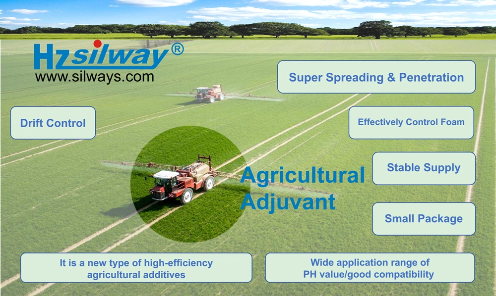 Chemical Auxiliary Agent Silway 246 CAS No. 134180-76-0 for Agriculture